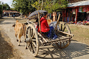 Putao-myanmar